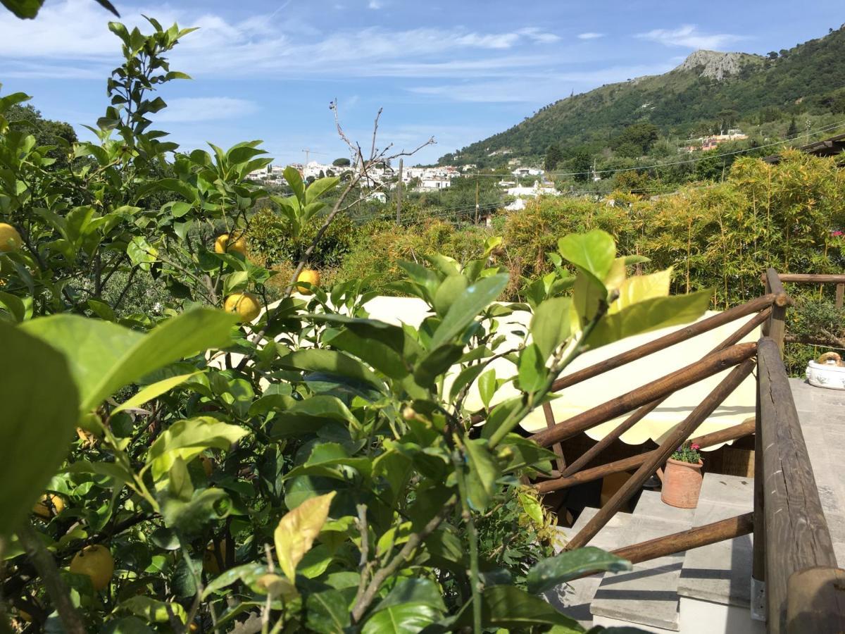 Relais Villa Anna Anacapri  Exterior photo